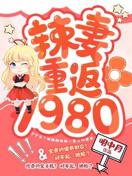 辣妻重返1980有相似的书吗