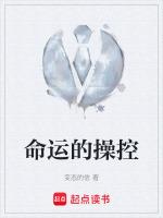 命运操控师之梦