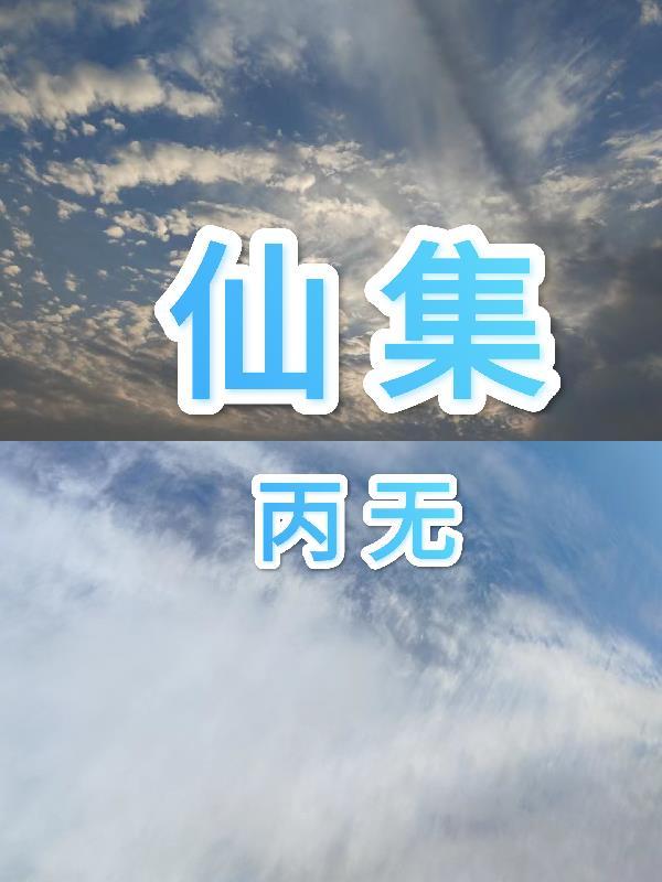 仙集公司